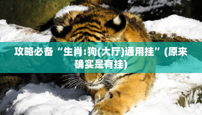 攻略必备“生肖:狗(大厅)通用挂”(原来确实是有挂)