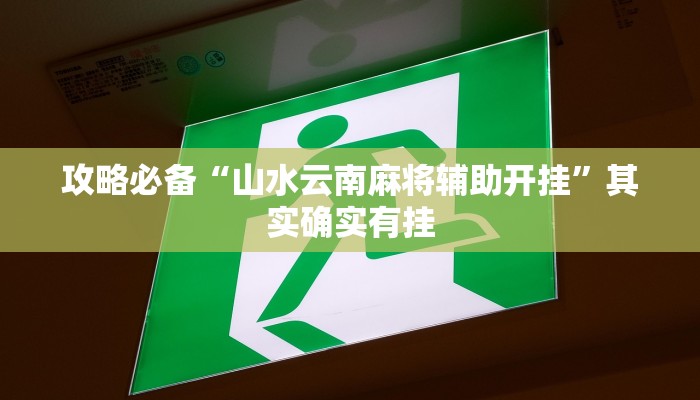 攻略必备“山水云南麻将辅助开挂”其实确实有挂
