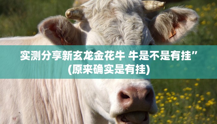 实测分享新玄龙金花牛 牛是不是有挂”(原来确实是有挂)