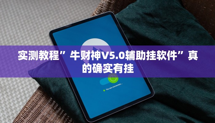 实测教程”牛财神V5.0辅助挂软件”真的确实有挂