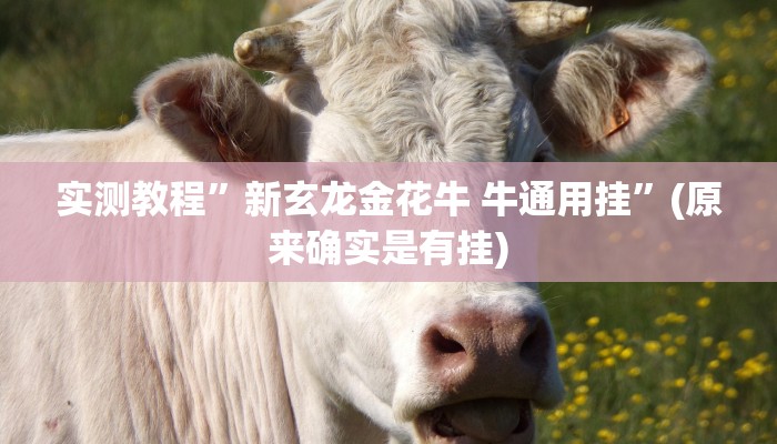 实测教程”新玄龙金花牛 牛通用挂”(原来确实是有挂)