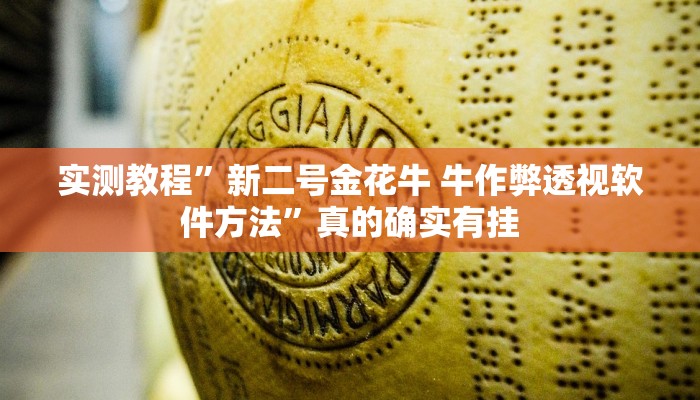 实测教程”新二号金花牛 牛作弊透视软件方法”真的确实有挂