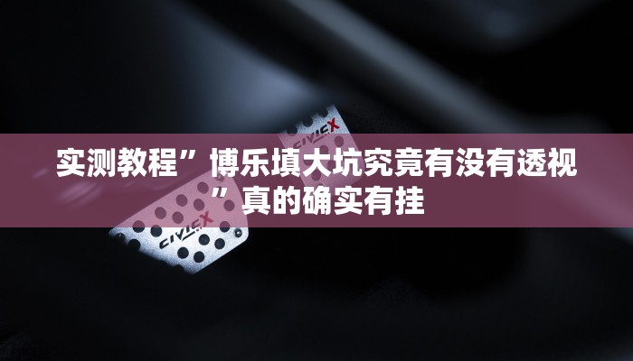实测教程”博乐填大坑究竟有没有透视”真的确实有挂