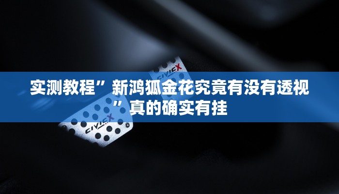 实测教程”新鸿狐金花究竟有没有透视”真的确实有挂