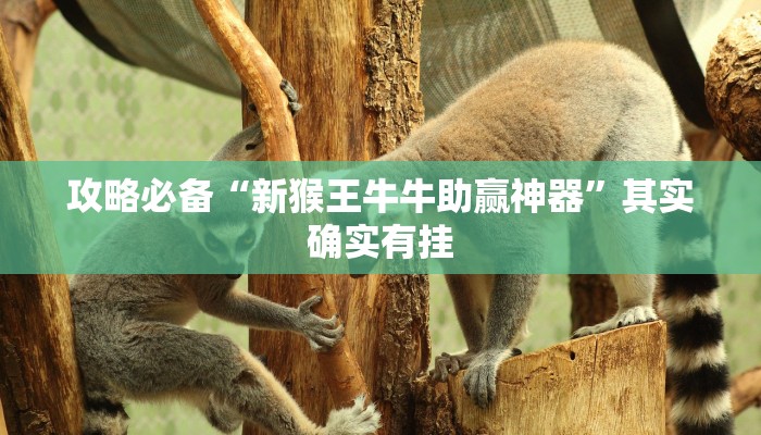 攻略必备“新猴王牛牛助赢神器”其实确实有挂
