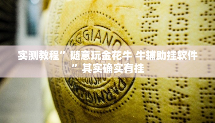 实测教程”随意玩金花牛 牛辅助挂软件”其实确实有挂
