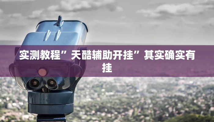 实测教程”天酷辅助开挂”其实确实有挂
