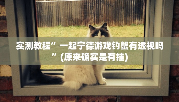 实测教程”一起宁德游戏钓蟹有透视吗”(原来确实是有挂)
