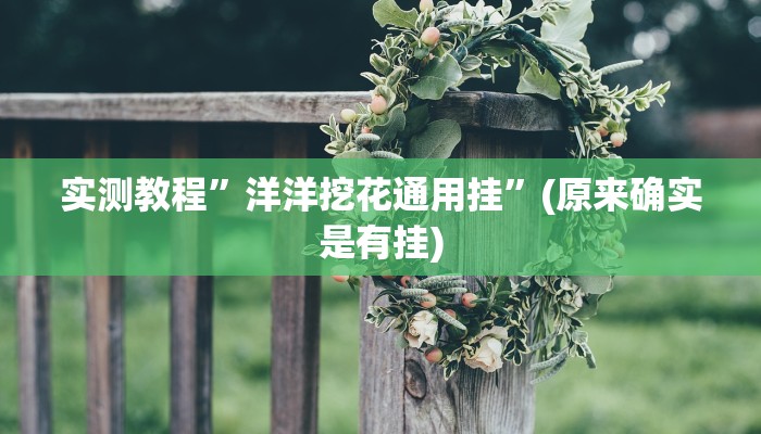 实测教程”洋洋挖花通用挂”(原来确实是有挂)