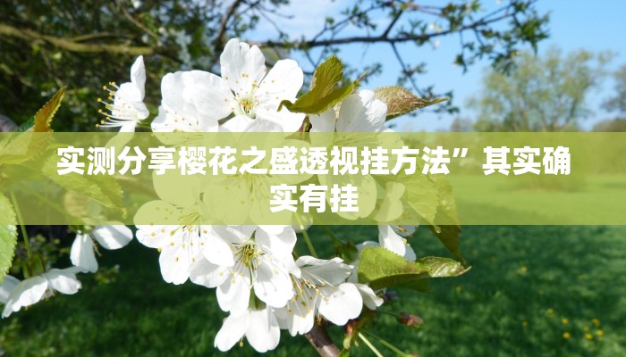 实测教程”众娱竞技可以开挂吗”真的确实有挂