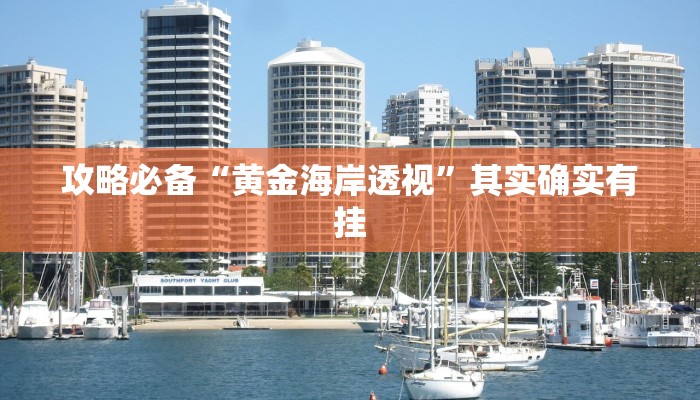 攻略必备“黄金海岸透视”其实确实有挂
