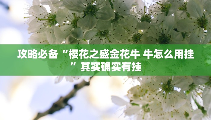 攻略必备“樱花之盛金花牛 牛怎么用挂”其实确实有挂
