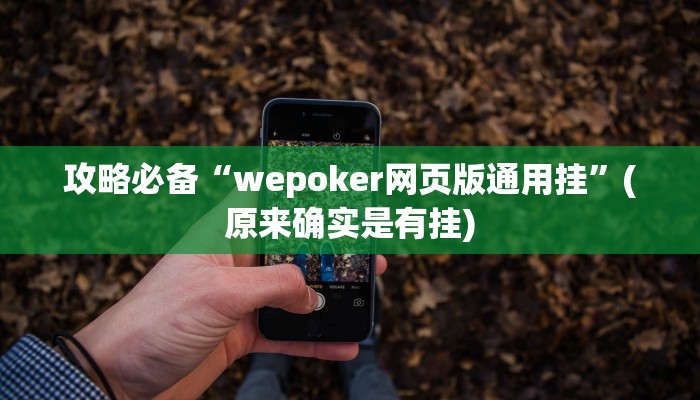 攻略必备“wepoker网页版通用挂”(原来确实是有挂)