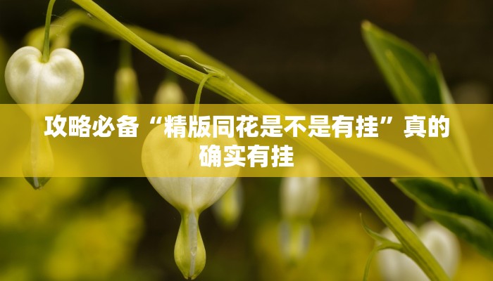 攻略必备“精版同花是不是有挂”真的确实有挂
