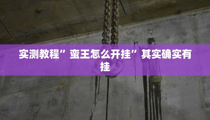 实测教程”蛮王怎么开挂”其实确实有挂

