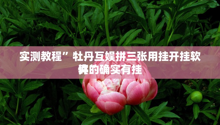 实测教程”牡丹互娱拼三张用挂开挂软件”
真的确实有挂