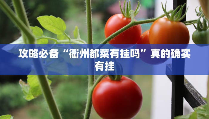 攻略必备“衢州都菜有挂吗”真的确实有挂
