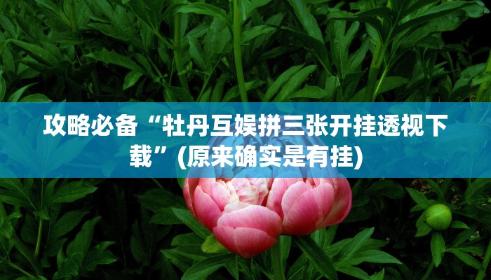 攻略必备“牡丹互娱拼三张开挂透视下载”(原来确实是有挂)