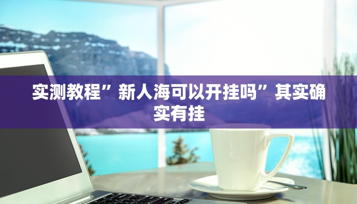 实测教程”新人海可以开挂吗”其实确实有挂
