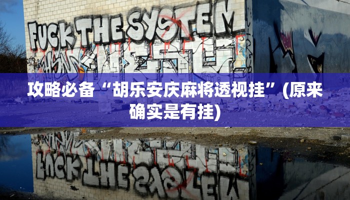 攻略必备“胡乐安庆麻将透视挂”(原来确实是有挂)