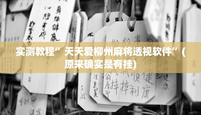 实测教程”天天爱柳州麻将透视软件”(原来确实是有挂)