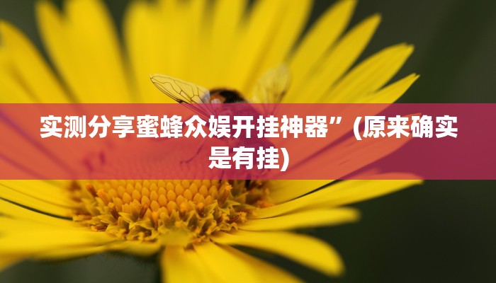 实测分享蜜蜂众娱开挂神器”(原来确实是有挂)