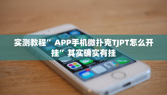 实测教程”皇豪互娱斗牛辅助挂软件”(原来确实是有挂)