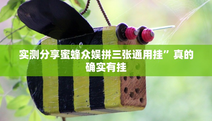 实测分享蜜蜂众娱拼三张通用挂”真的确实有挂