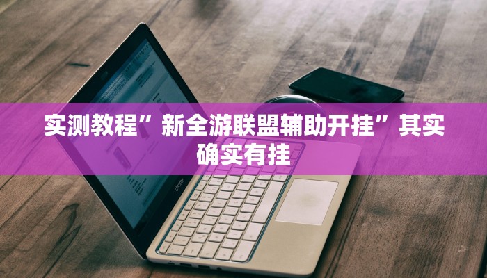 实测教程”新全游联盟辅助开挂”其实确实有挂
