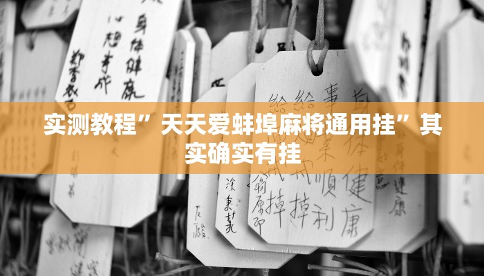 实测教程”功夫川麻透视软件”真的确实有挂