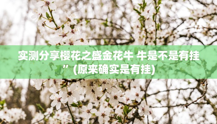 攻略必备“同城上饶辅助开挂”(原来确实是有挂)