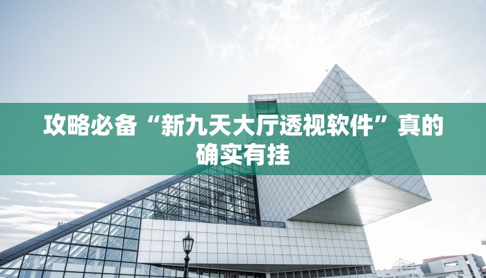 攻略必备“新九天大厅透视软件”真的确实有挂