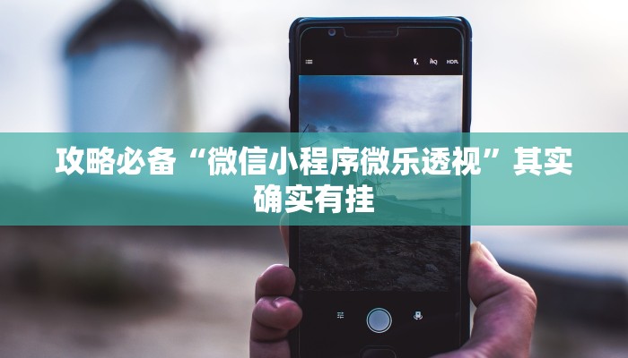 攻略必备“微信小程序微乐透视”其实确实有挂
