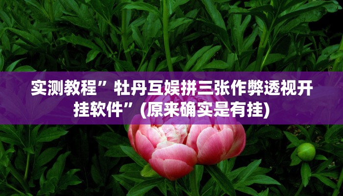 实测教程”牡丹互娱拼三张作弊透视开挂软件”(原来确实是有挂)