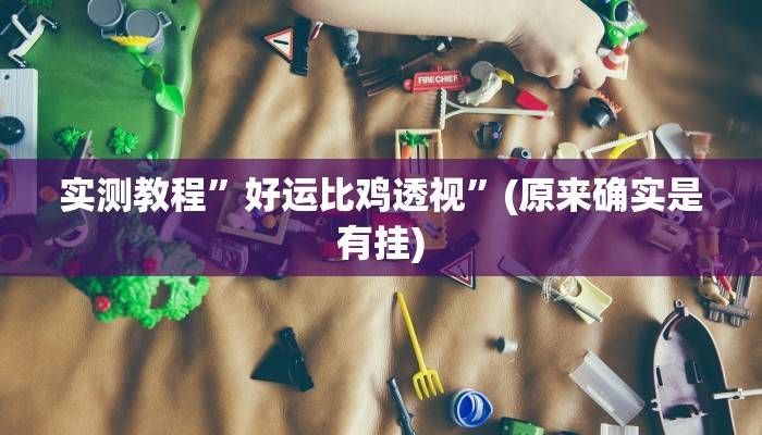实测教程”好运比鸡透视”(原来确实是有挂)