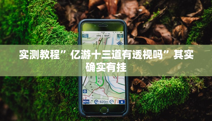 实测教程”亿游十三道有透视吗”其实确实有挂
