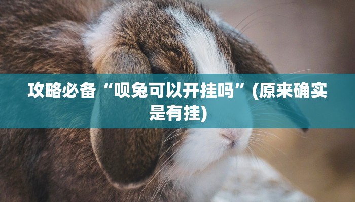 攻略必备“呗兔可以开挂吗”(原来确实是有挂)