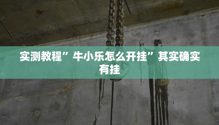 实测教程”八方比鸡辅助开挂”其实确实有挂
