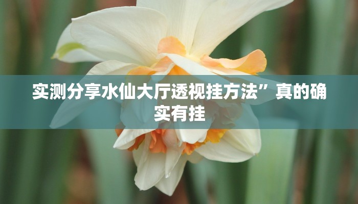 实测教程”中至九江开挂神器”真的确实有挂