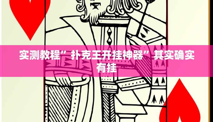 实测教程”扑克王开挂神器”其实确实有挂

