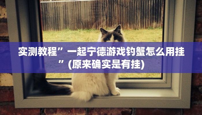 实测教程”一起宁德游戏钓蟹怎么用挂”(原来确实是有挂)