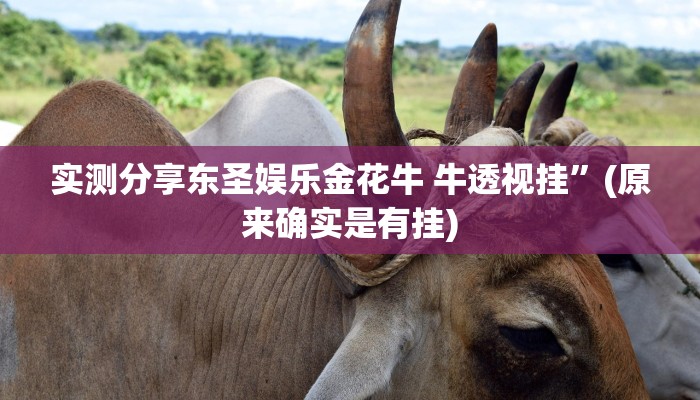 实测分享东圣娱乐金花牛 牛透视挂”(原来确实是有挂)