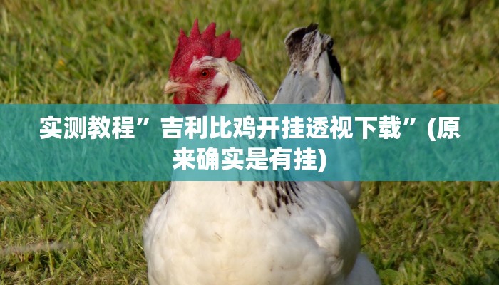 实测教程”吉利比鸡开挂透视下载”(原来确实是有挂)