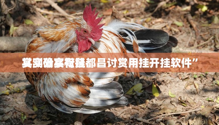 实测分享松鼠都昌讨赏用挂开挂软件”
其实确实有挂
