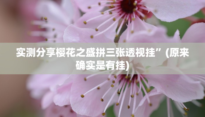 攻略必备“大众麻将作弊透视软件方法”其实确实有挂

