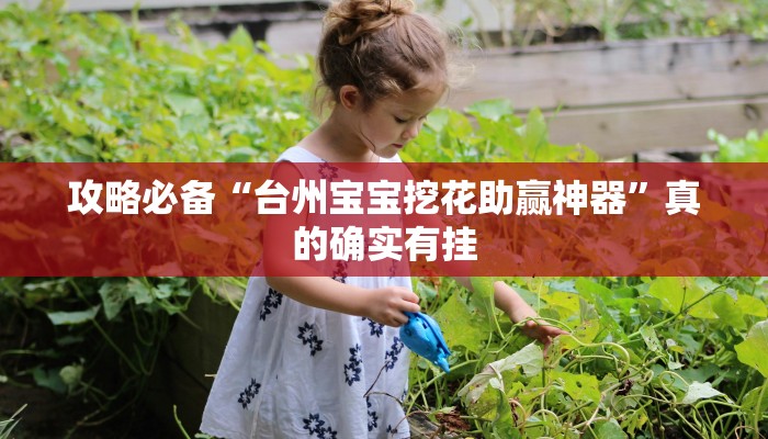 攻略必备“台州宝宝挖花助赢神器”真的确实有挂