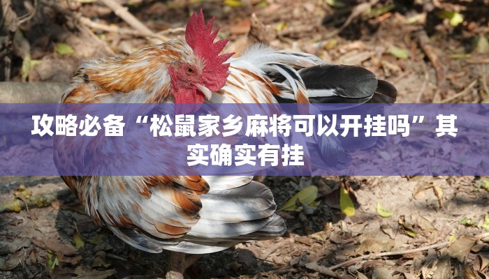实测教程”天胡辅助开挂”(原来确实是有挂)