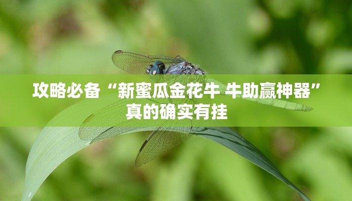 攻略必备“新蜜瓜金花牛 牛助赢神器”真的确实有挂