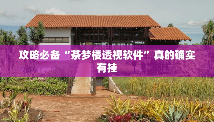 攻略必备“茶梦楼透视软件”真的确实有挂