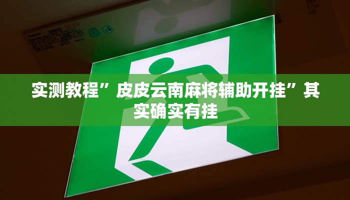 实测教程”皮皮云南麻将辅助开挂”其实确实有挂
